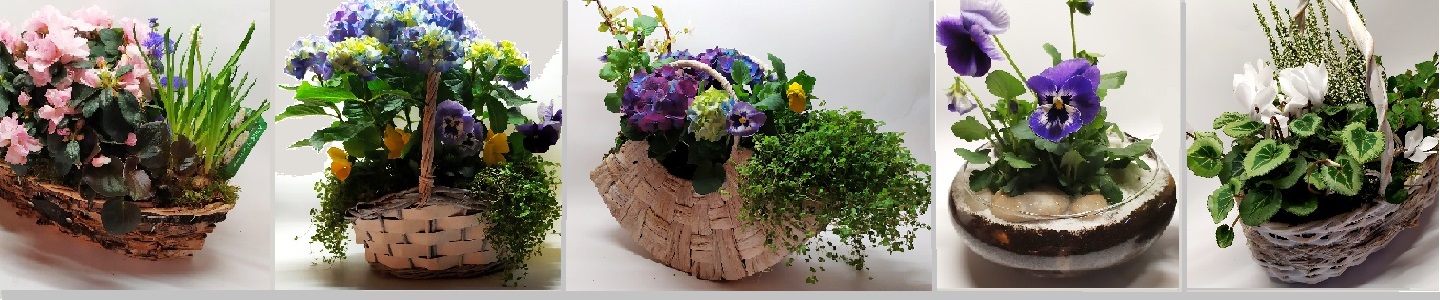 DARK FLORIST Флористика Декор ЦВЕТЫ