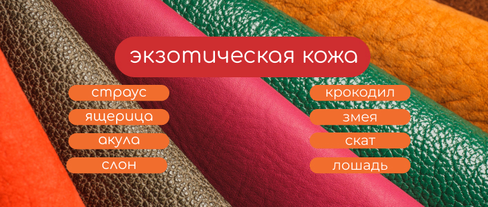 Ошейники