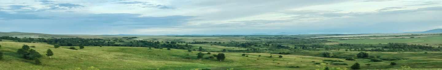 Дорога сна