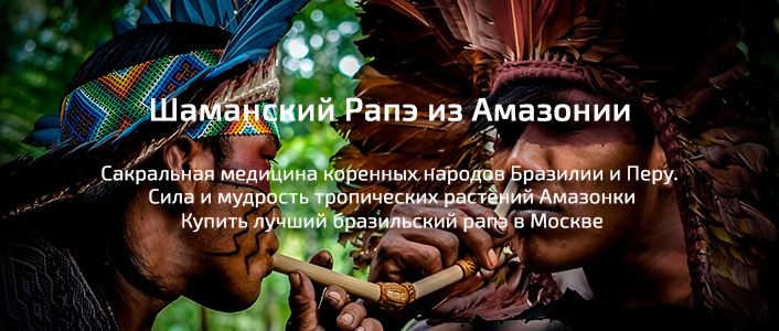 Доктор Мухоморов / Рапэ Амазония