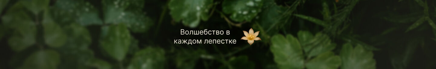 ELKRA|Елена Красильникова