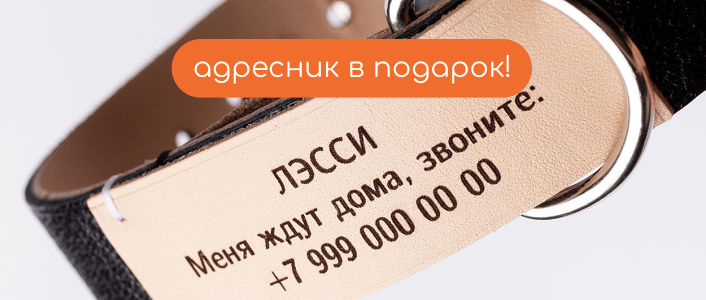 Ошейники
