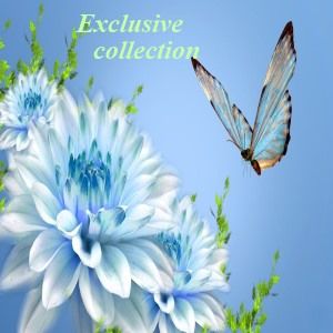 Exclusive collection