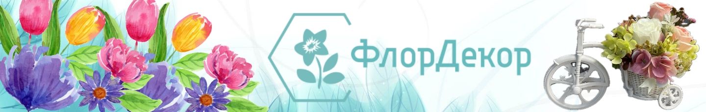 Славинская Наталья